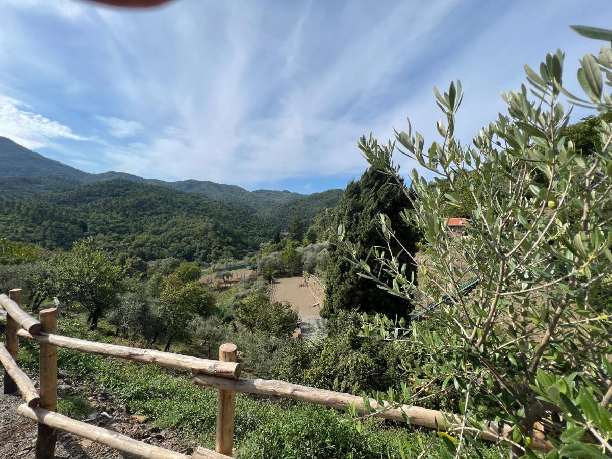 Agriturismo Torsivi Castiglione Chiavarese Екстериор снимка