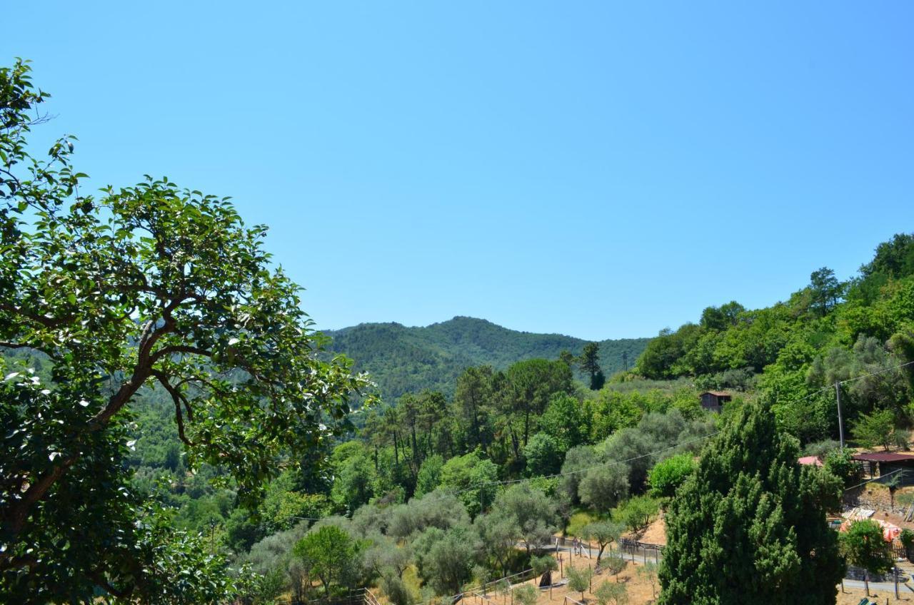 Agriturismo Torsivi Castiglione Chiavarese Екстериор снимка