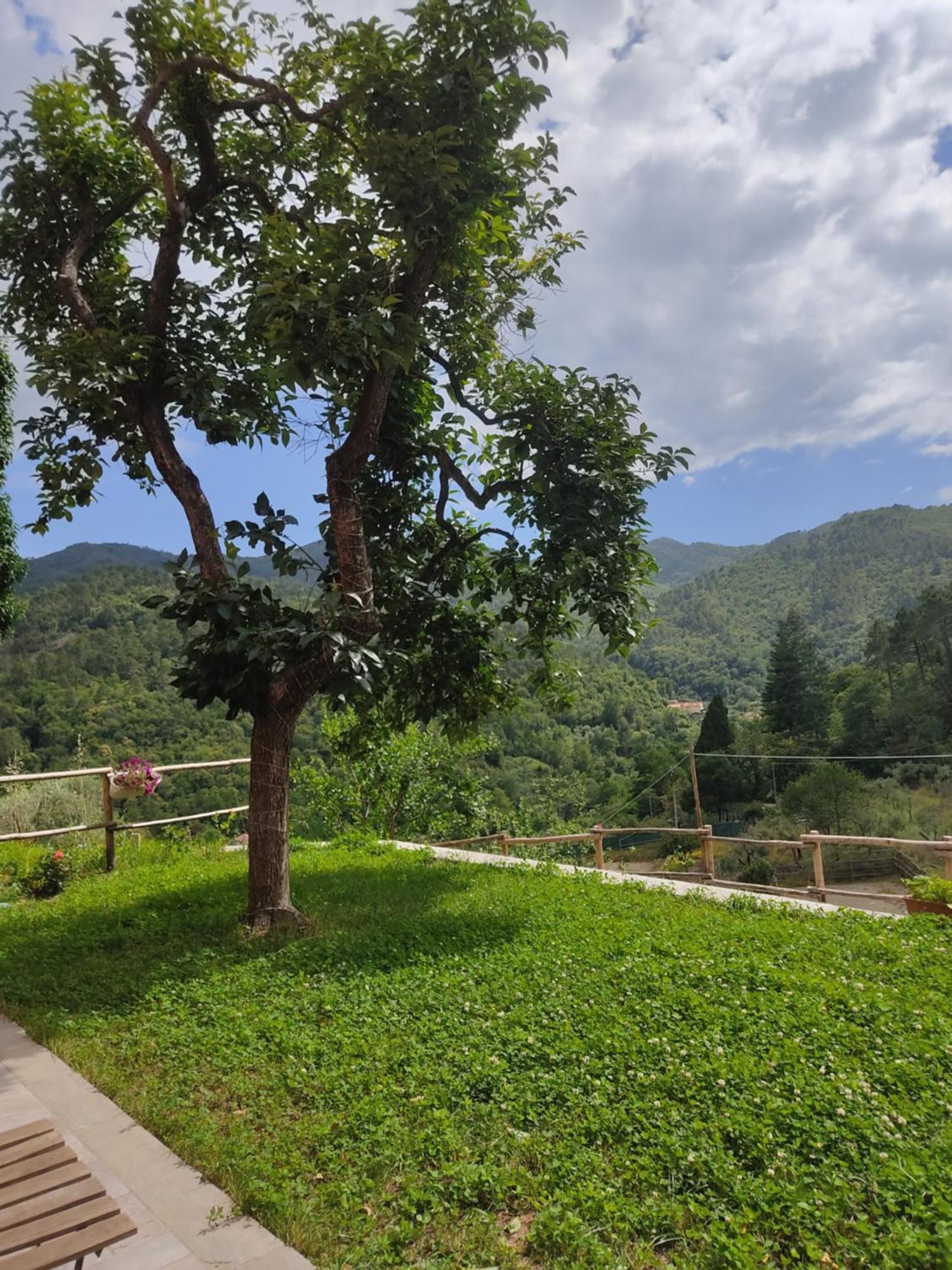 Agriturismo Torsivi Castiglione Chiavarese Екстериор снимка